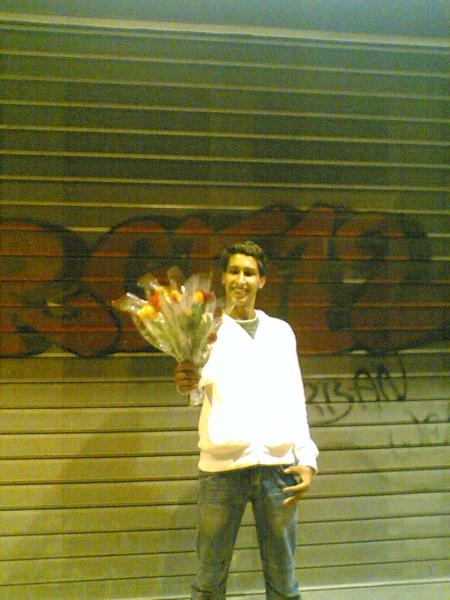 abelle halim